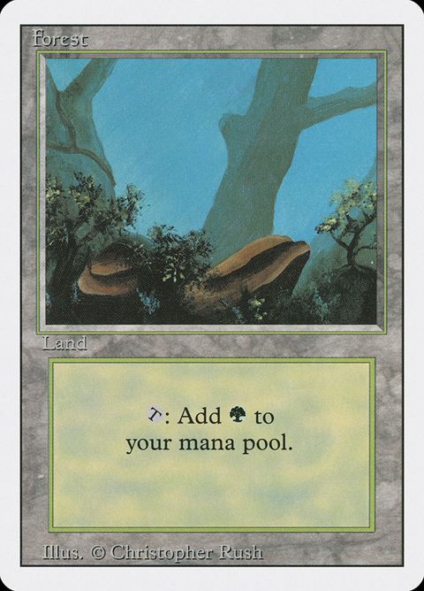 Forest (304)