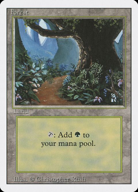 Forest (305)