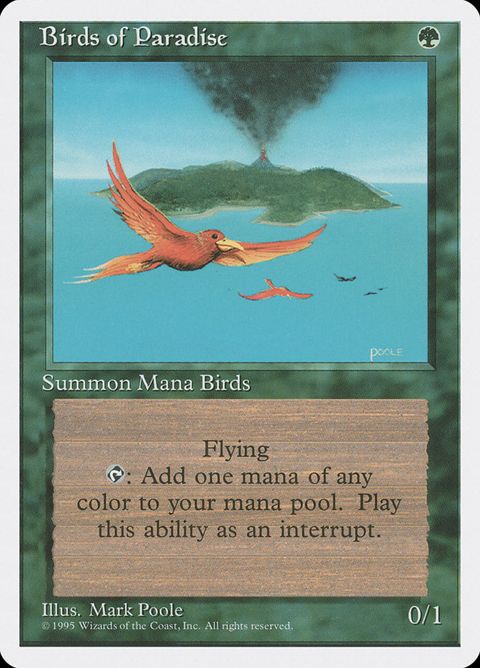 Birds of Paradise (234)