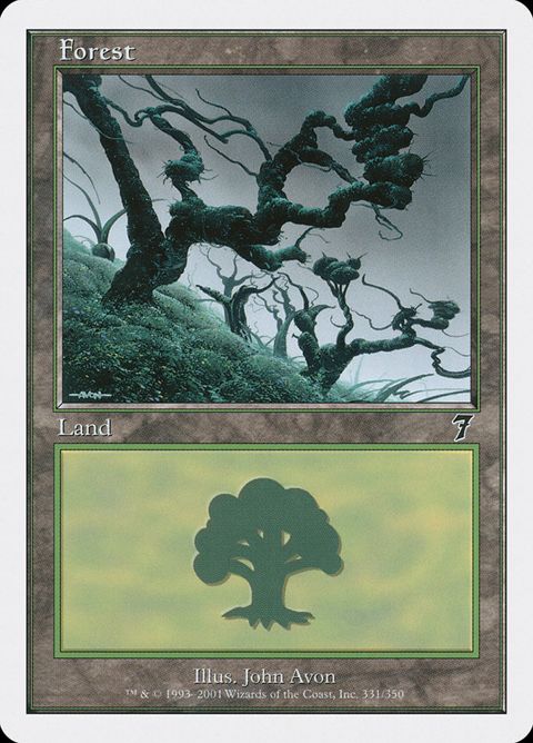 Forest (331)