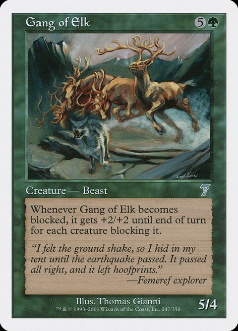 Gang of Elk (247)
