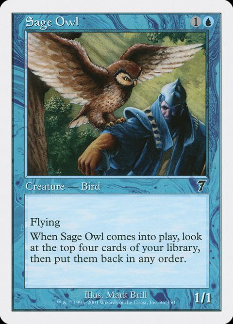 Sage Owl (96)