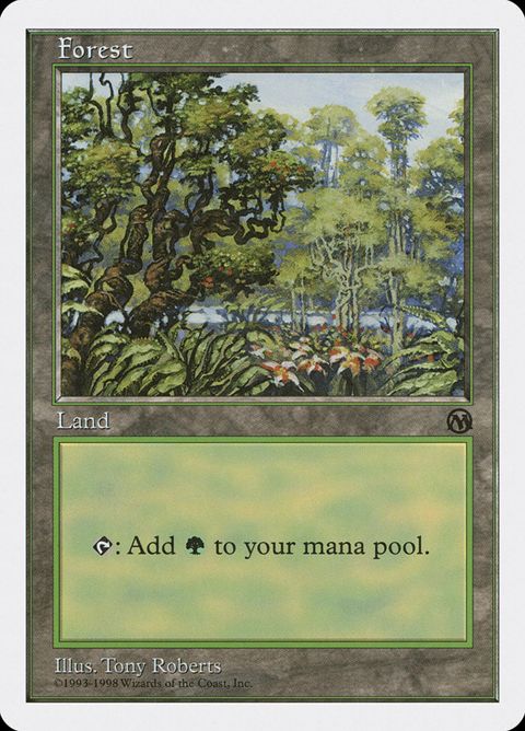 Forest (84)