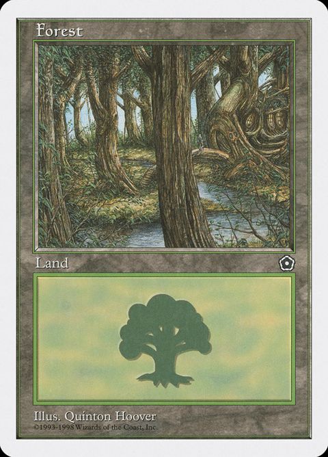 Forest (85)