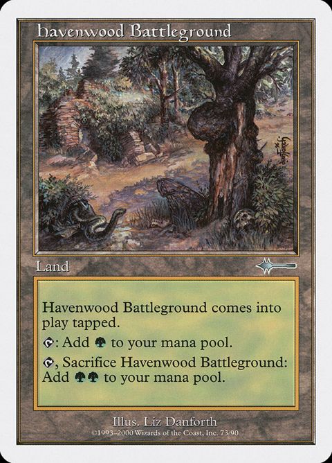 Havenwood Battleground (73)