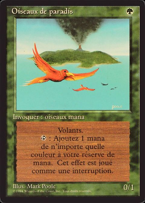 Birds of Paradise (187)