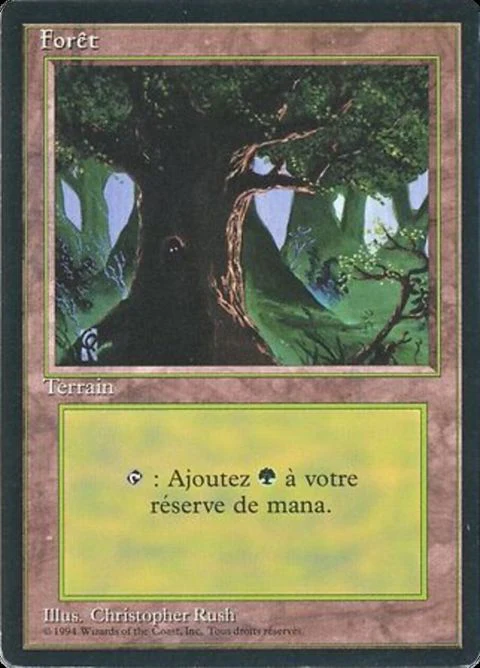 Forest (306)