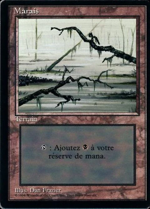 Swamp (300)
