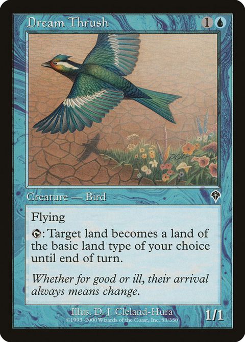 Dream Thrush (53)