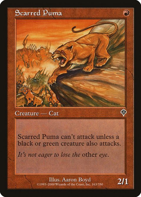 Scarred Puma (163)