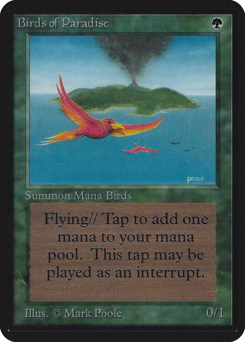Birds of Paradise (186)