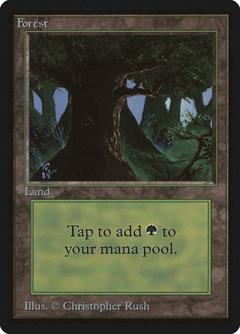 Forest (302)