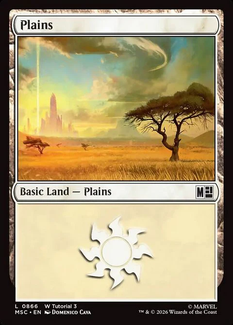 Plains (866)