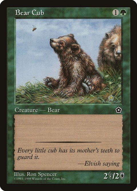Bear Cub (123)