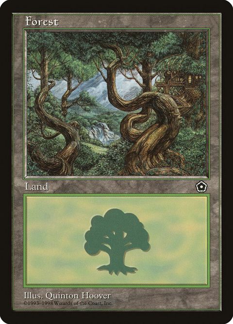 Forest (163)