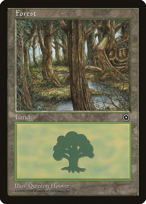 Forest (164)