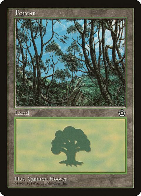 Forest (165)