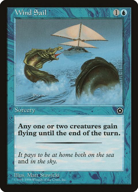 Wind Sail (60)