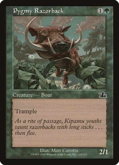 Pygmy Razorback (120)