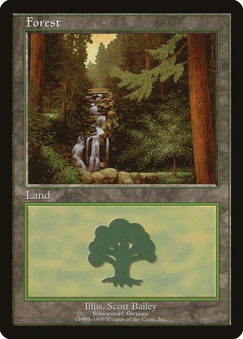 Forest (1)