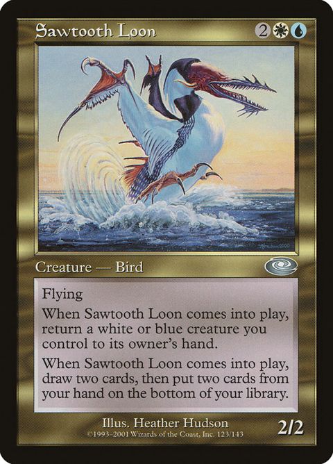 Sawtooth Loon (123)