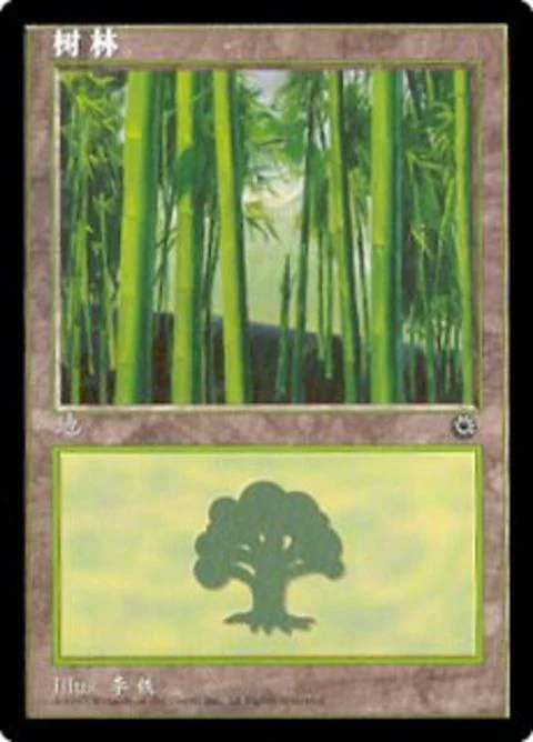 Forest (213s)