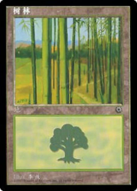 Forest (215s)