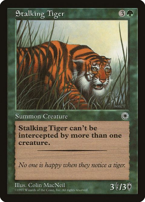 Stalking Tiger (186)