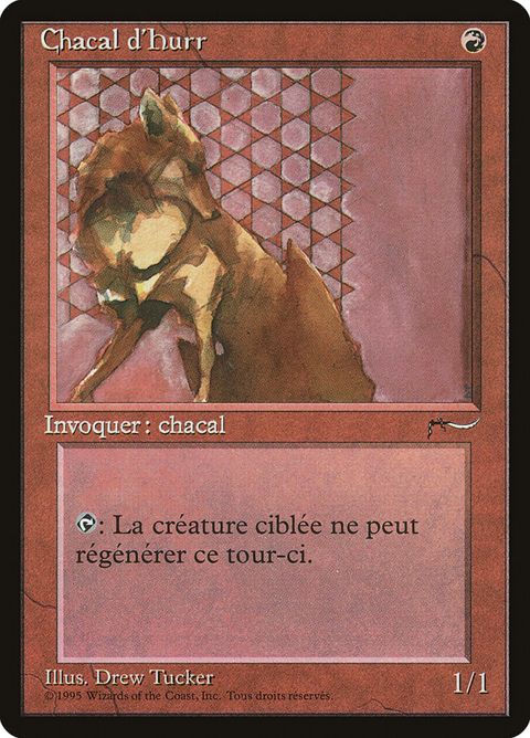 Hurr Jackal (88)