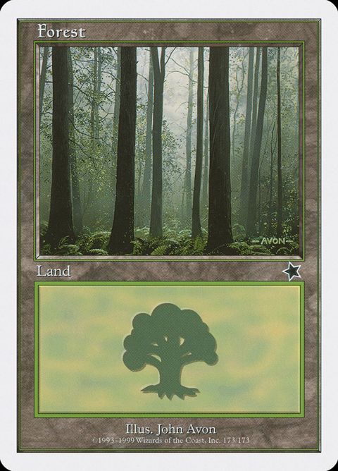 Forest (173)