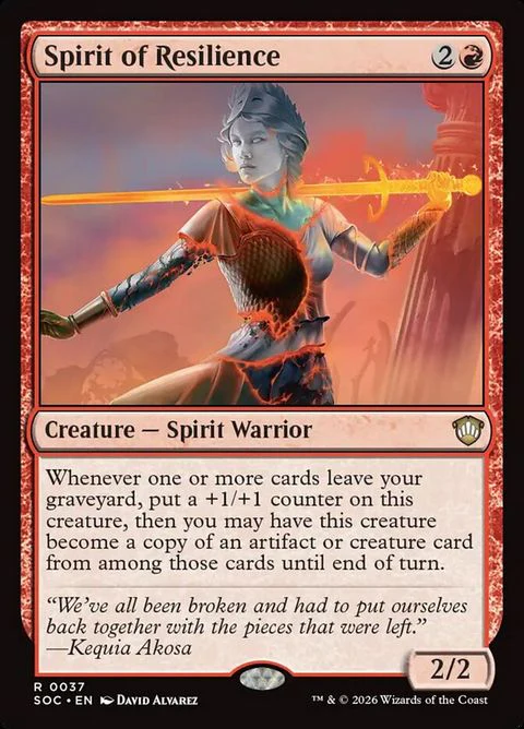 Spirit of Resilience (37)