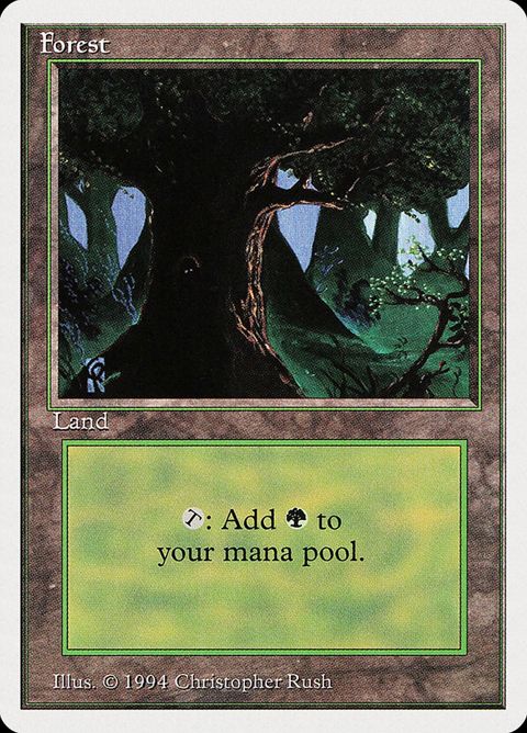 Forest (306)
