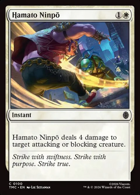 Hamato Ninpō (100)