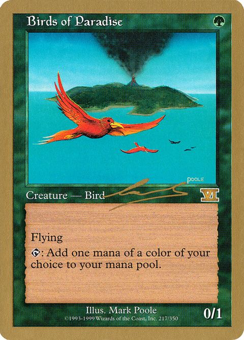 Birds of Paradise (nl217)
