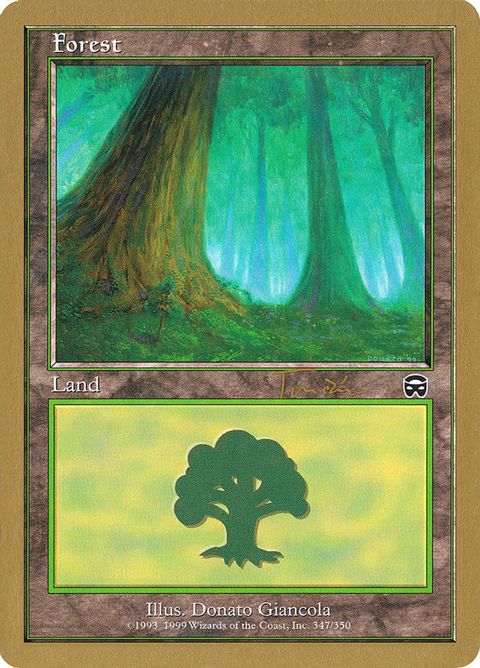 Forest (jt347a)