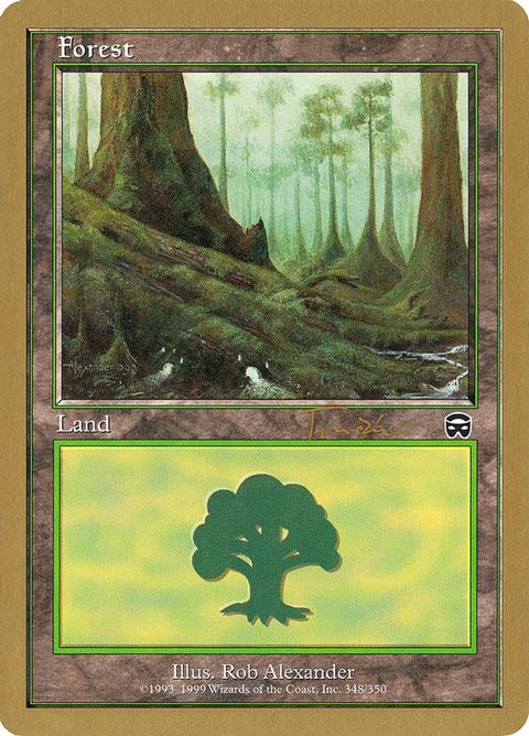 Forest (jt348)