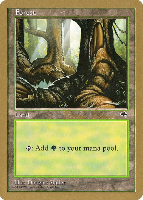 Forest (bs348)