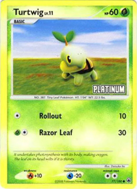 Turtwig (77)