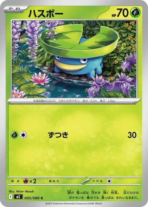 Lotad (5)