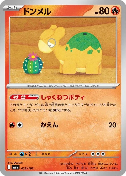 Numel (22)