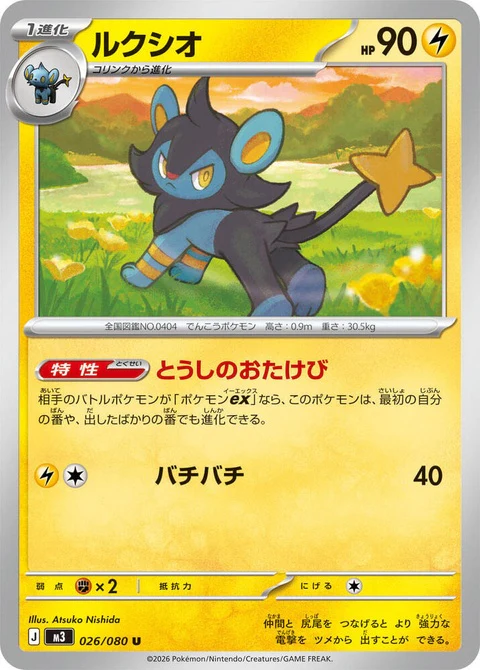 Luxio (26)
