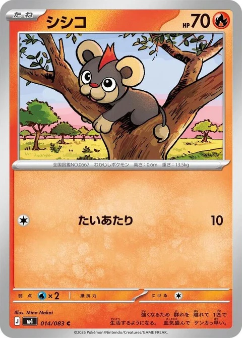 Litleo (14)