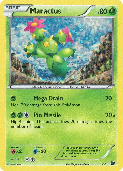 Maractus (2)