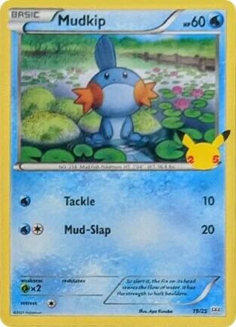 Mudkip (19)