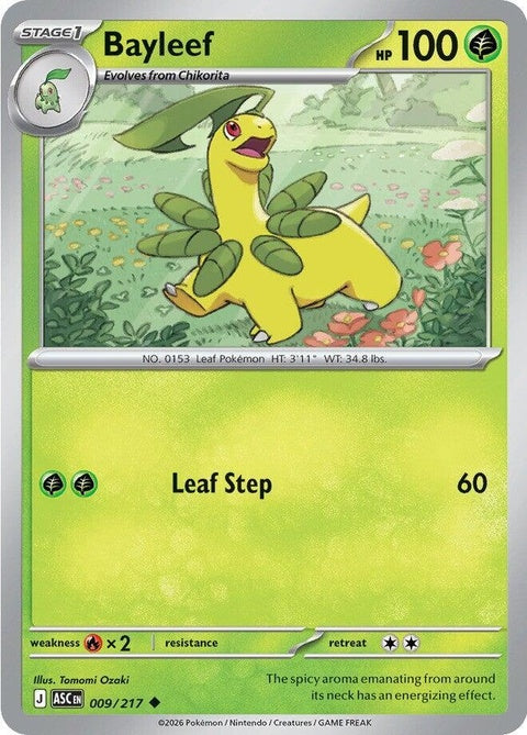 Bayleef (9)