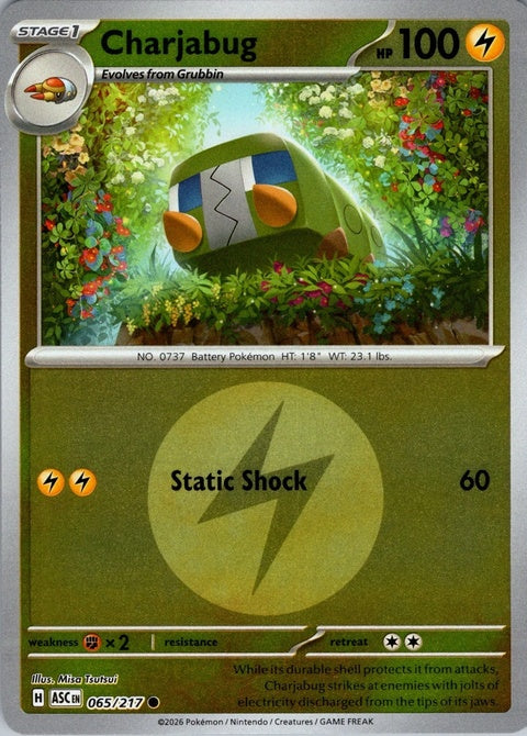 Charjabug - Energy Symbol Pattern (65)