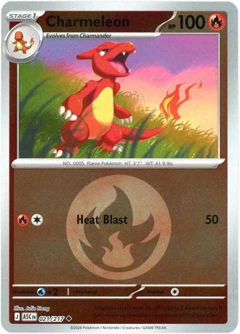 Charmeleon - Energy Symbol Pattern (21)
