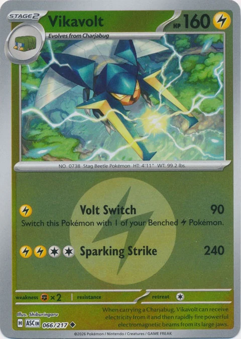 Vikavolt - Energy Symbol Pattern (66)