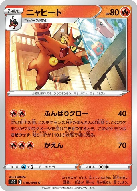 Torracat (16)