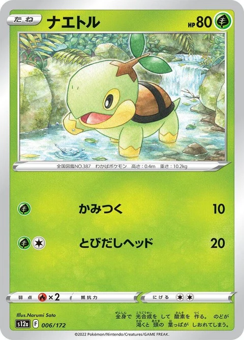 Turtwig (6)